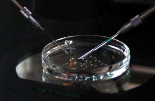 泰国试管婴儿费用与流程详解:自助与中介选择指南