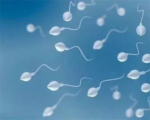 三代试管筛选与供卵试管助孕指南