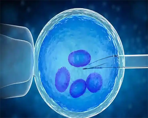 重庆妇幼试管费用明细与报销指南,助孕家庭必读