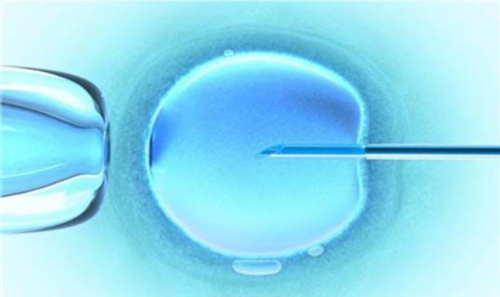 试管婴儿费用、时间及住院问题全解析
