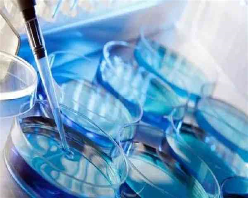 代怀助孕机构流程与三代试管医院服务详解