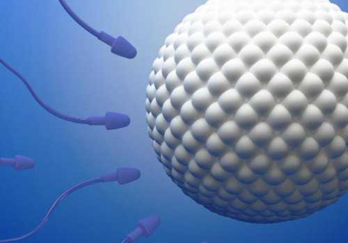 2026年试管婴儿生男孩费用解析与助孕指南