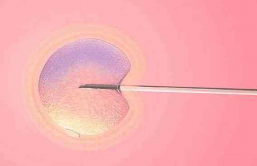 重庆试管助孕机构专业排名及费用解析