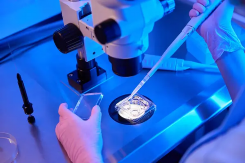 重庆试管婴儿医院排名及安琪儿医院地址详情解析