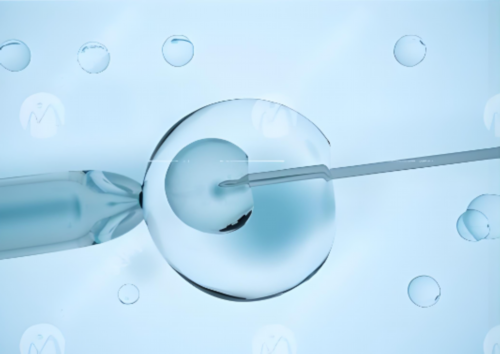 预约新冠疫苗接种指南与心得分享