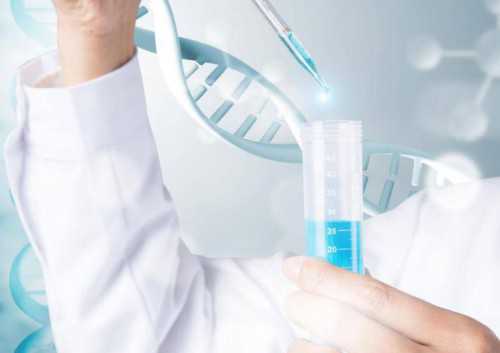 重庆公立试管代怀指南：提升成功率与泰国医院选择策略