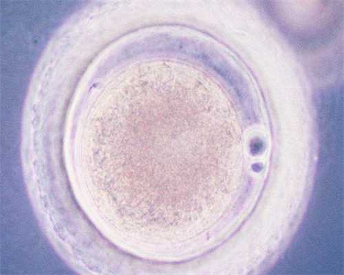 三代试管婴儿费用明细与助孕服务指南