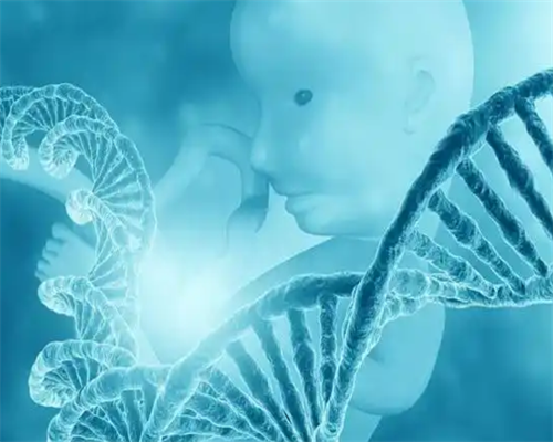 重庆三代试管私人医院选择指南与助孕费用解析