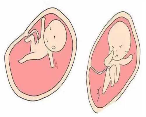 澳门三代试管助孕费用与医院选择指南