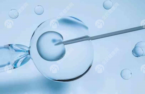 供卵试管医院选择与流程指南,成功率解析