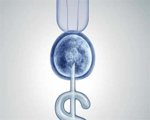 试管移植费用与三代试管囊胚移植解析