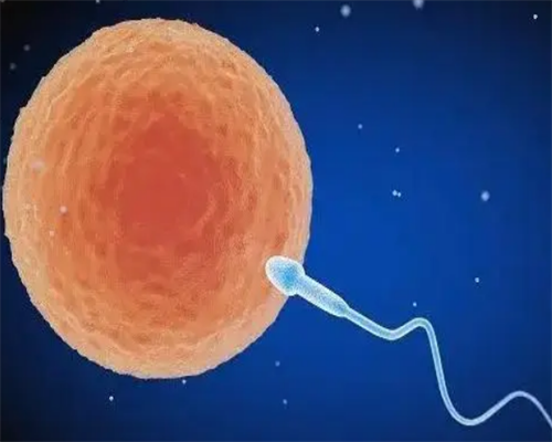 重庆供卵机构数量与试管助孕排名解析：重庆市妇幼保健院服务指南