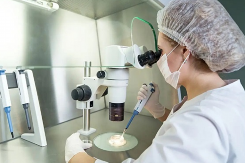 重庆试管助孕二胎性别选择指南与科学解析