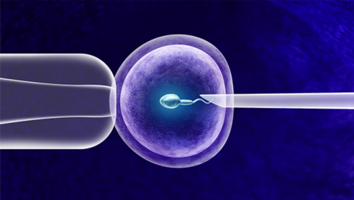 私人机构试管费用解析及34岁成功率探讨