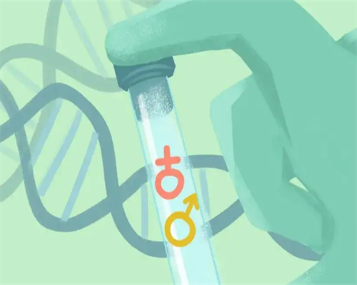 重庆高龄试管助孕成功几率与费用解析