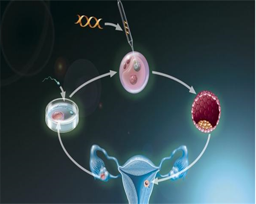 最可靠的双胞胎代生与试管助孕机构综合指南