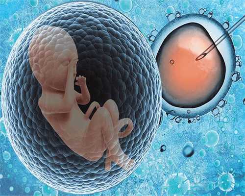 助孕服务费用解析与咨询指南