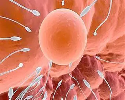 重庆2026年最佳试管婴儿医院排名及供卵试管选择指南